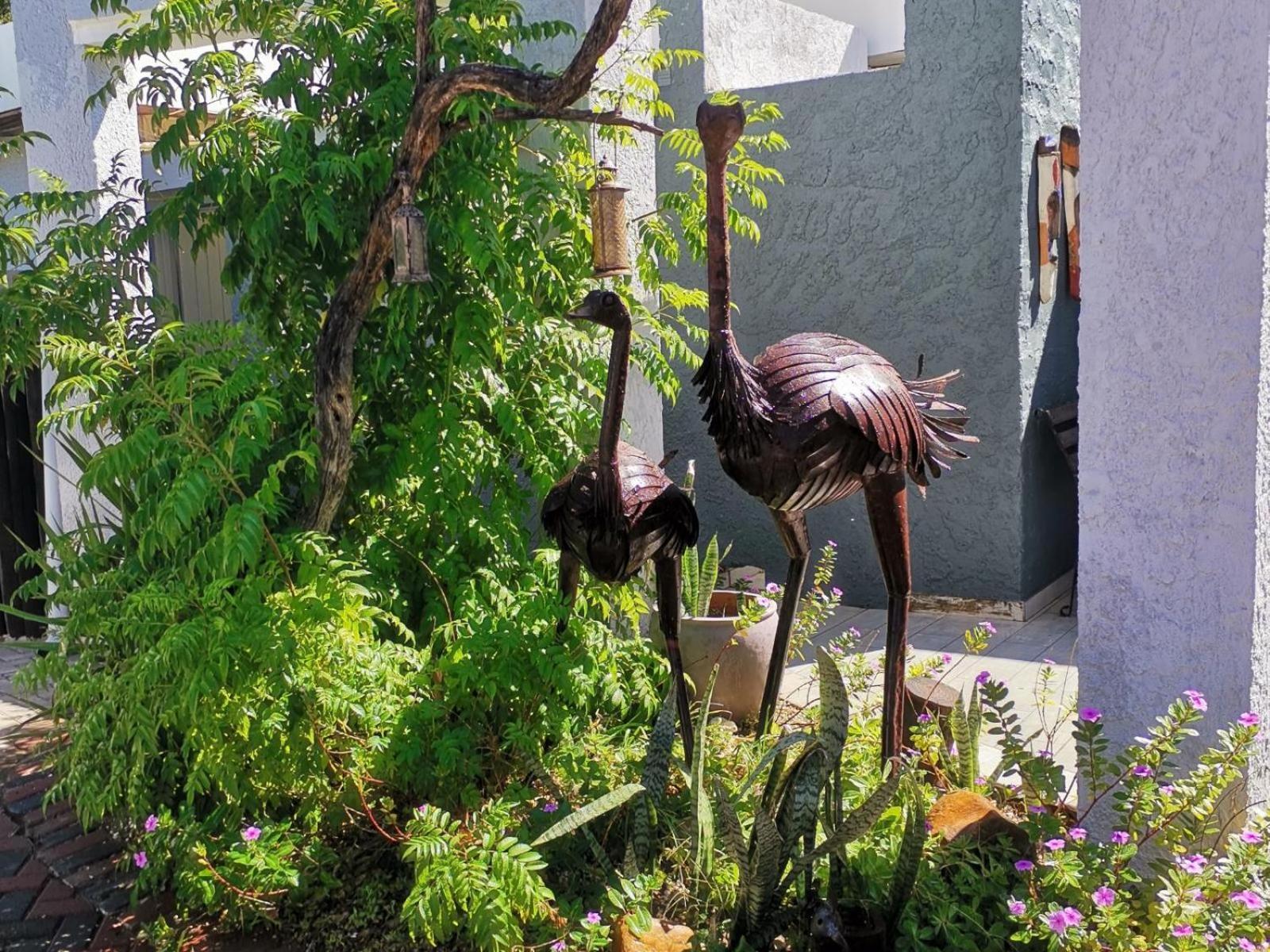 Guesthouse Terra Africa Windhoek Exterior foto